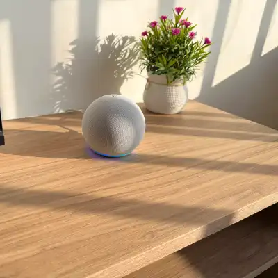 Alexa device
